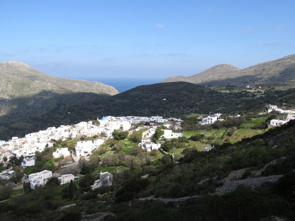 Amaranto